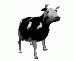 Dancing Cow Gif Tylko Jedno W Glowie Mam Polish Cow Know Your Meme Tylko jedno w glowie mam. dancing cow gif tylko jedno w glowie