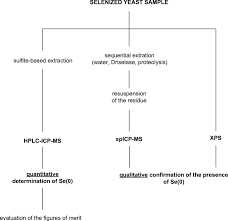 It develops small motility of hands. Optimization Of Elemental Selenium Se 0 Determination In Yeasts By Anion Exchange Hplc Icp Ms Springerlink