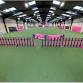 Bourne HTM Training Show at Ogilvie Dogs event image
