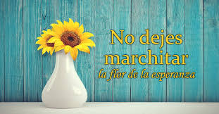 Résultat de recherche d'images pour "La flor de la esperanza"