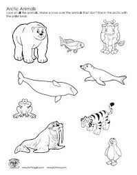 We have provided a number of coloring pages. 5 Best Images Of Arctic Tundra Animals Worksheet Arctic Tundra Animals Coloring Pages Tundra Biome Map Co Arctic Tundra Animals Arctic Animals Arctic Tundra