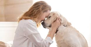 You can use all or only some of the fields, depending on what you're looking for. Do Animals Have Souls What The Bible Says