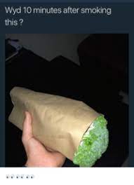 Wyd After Smokin This Image Gallery Sorted By Favorites Know Your Meme