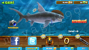 Hungry Shark Kopek Baligi Oyunu Sdn Forum