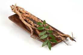 Pokok herba banyak digunakan dalam perubatan tradisional. Pasak Bumi Tanaman Herbal Yang Punya Banyak Manfaat Untuk Pria