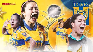 The torneo apertura and the torneo clausura, each in an identical format and each contested by the. Tigres Vs Chivas Tigres Se Lleva El Titulo Del Guardianes 2021 Y Son Bicampeonas De La Liga Mx Femenil Marca
