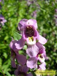 We did not find results for: Flowers Drive Durham Mapio Net