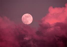 Une super lune rose ! 4ecpmvs7u7xmxm