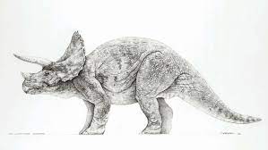 Mark Crash Mccreery Did A Beautiful Series Of Pencil Drawings As Concept Art For The Jurassic Park Movi Dinosaur Pictures Dinosaur Illustration Dinosaur Sketch