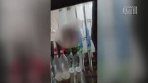 Jovem grava idoso abusando de prima e aposentado é preso no litoral de SP;  VÍDEO 