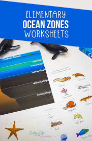 Ocean Zones Worksheets For Kids Ocean Zones Elementary Science Activities Ocean Activities