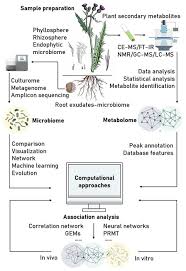 Addition of elicitor is important which induce the production and accumulation of. Frontiers Linking Plant Secondary Metabolites And Plant Microbiomes A Review Plant Science
