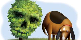 We did not find results for: Growing Danger Toxic Plants Pose Pet Threat
