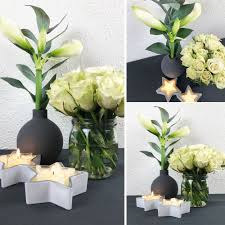 Deko Im Januar Zimmerblumen Zimmerpflanzen Ideen Pflanzen Dekor