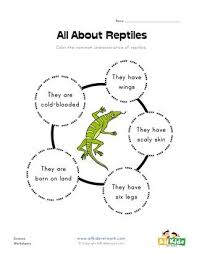 All About Reptiles Worksheet Amphibians Kindergarten Worksheets Reptiles