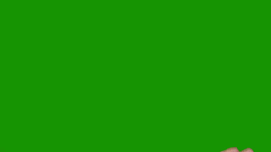 Filming with green screen light green background wallpaper hd wallpaper. Green Background Chroma Key Mens Stock Footage Video 100 Royalty Free 3807932 Shutterstock