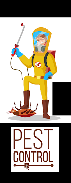 Focus on customer service extensive training of. Pest Control In Dubai Pest Control Dubai Pest Control Service In Dubai