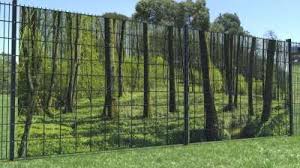 Zaunblick Balkon Sichtschutz Zaun Doppelstabmatten