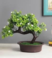 We have a wide variety of flowering bonsai trees for sale at all things bonsai, most of which come with free delivery to much of the uk. Buy Artificial Bent Bonsai Tree With Green Leaves And Small White Flowers With Pot By Foliyaj Online Artificial Plants Artificial Plants Home Decor Pepperfry Product