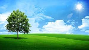 Green Nature Landscape Green Landscape Green Nature Landscape Wallpaper