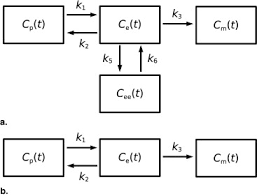 Polyoma middle t antigen (pymt) and mouse mammary tumor. Modeling Pulmonary Kinetics Of 2 Deoxy 2 18f Fluoro D Glucose During Acute Lung Injury Academic Radiology
