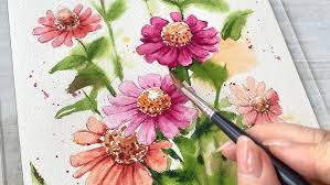 Zinnias flower ...