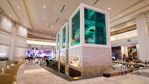 Located a few minutes from the las vegas strip. Palms Casino Resort S 620 Million Makeover