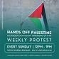 Weekly Protest For Gaza — Kalamazoo Nonviolent..... event in Kalamazoo, MI