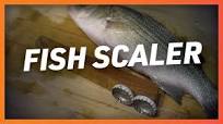 DIY: The Easiest Way to Scale Small Fish!