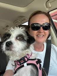 Lower cost competitor to Chewy or 800PetMeds