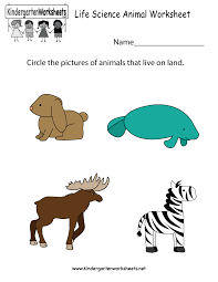 Download free printable practice worksheets for class 6 computer science which have been carefully made by teachers keeping into access free cbse ncert printable worksheets for standard 6 with answers (solutions) prepared by expert teachers at studiestoday.com, pdf. Science Worksheet For Kindergarten Photo Ideasintable Pdf Parts Of The Samsfriedchickenanddonuts