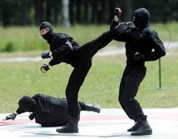 The Top 4 Martial Arts For Police Training Martial Arts Police Workout Martial