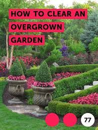 Learn How To Clear An Overgrown Garden How To Guides Tips And Tricks Types Of Grass Lawn Grass