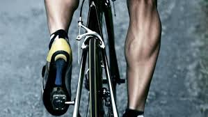 The Primary Muscles Used For Cycling And How To Train Them Cycling Muscles Cycling Workout Bike