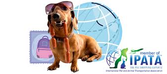 We specialize in international pet transportation and ship to over 85 countries. Cargo Damyt International Pet Services