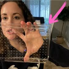 ⭐Ingrid Ortiz⭐'s Amazon Page