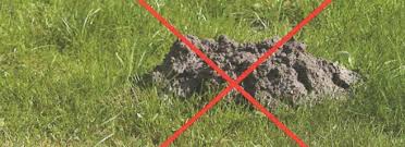 Ausschreibungstexte landschaftsbau software, muster, vorlagen & kostenlose downloads. Maulwurfsperre Ausschreibungstexte