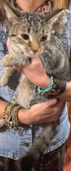 We had a wonderful night of...