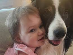 Fundraiser by Sky Eddings : Help Us Rebuild After House Fire