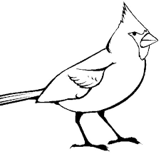 Your kids will increase their vocabulary by learning about different anima. Picture Of Cardinal Bird Coloring Page Coloring Sun