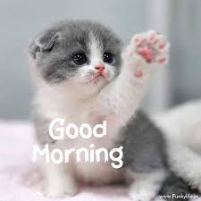 Maybe you would like to learn more about one of these? 250 Good Morning Images Pictures Beautiful Morning Wishes 2021