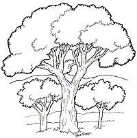 Pin Van Hetty Engelhart Op Bomen Tekenen Met Afbeeldingen Bomen Tekenen Cartoon Tekeningen
