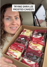 Sara Lee Cookie and Cream Cheesecake