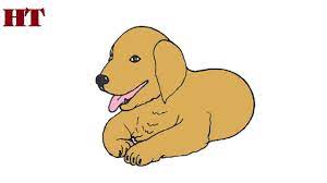 January 31, 2020 at 1:43 pm. How To Draw A Golden Retriever Puppy Step By Step