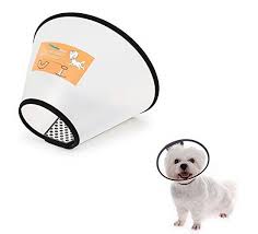 Well, it's really not a huge celebration. Cafilra Pet Recovery E Collar Cones 10 Pack For Cats Small Dogs After Surgery Comfy Soft Elizabethan Kitten Neck Cone Of Shame Puppy Head Medical Collar Diy To Prevent Licking Wounds Rashes Pet Supplies
