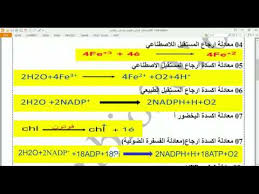 ÙƒÙ„ Ù…Ø¹Ø§Ø¯Ù„Ø§Øª Ø§Ù„ØªØ±ÙƒÙŠØ¨ Ø§Ù„Ø¶ÙˆØ¦ÙŠ ÙˆØ§Ù„ØªÙ†ÙØ³ ÙˆØ§Ù„ØªØ®Ù…Ø± Ø§Ù„ØªÙŠ ÙŠØ¬Ø¨ Ø§Ù† ÙŠØ¹Ø±ÙÙ‡Ø§ Ø§Ù„ØªÙ„Ù…ÙŠØ° Youtube