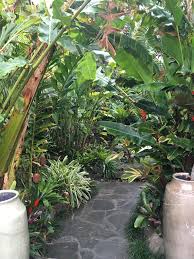 Tropical Garden Path Curved Lines Create A Sense Of Journey Amidst Bromeliads Palms Gingers And He Tropical Garden Design Tropical Garden Tropical Backyard
