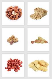 Nuts Peanuts Food Elements Png Images Png Free Download Pikbest Peanut Food Elements