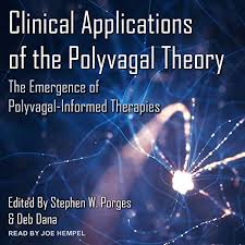 Amazon Com Befriending Your Nervous System Looking Through The Lens Of Polyvagal Theory Audible Audio Edition Deborah Dana Lcsw Deborah Dana Lcsw Sounds True Books