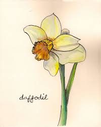 Yellow Daffodil Watercolor Tattoo With Images Watercolor Print Watercolor Flowers Watercolour Inspiration